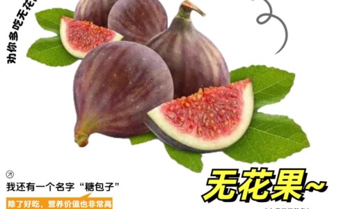 决明子菊花枸杞桑叶泡水喝的功效-决明子枸杞菊花桑叶的功效-专业决明子菊花枸杞泡水喝的禁忌平台-决明子菊花枸杞泡水喝的禁忌